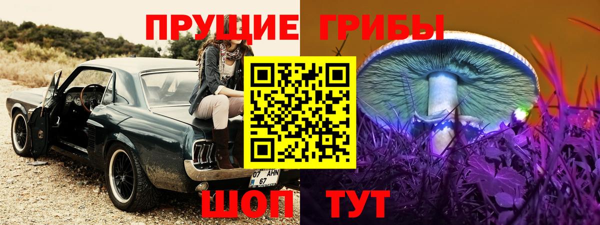 Псилоцибиновые грибы ЛСД  Вход с VPN  Псилоцибиновые грибы ЛСД  Баксан 